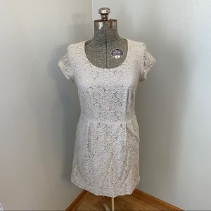 The Limited Size 6 lace grey dress